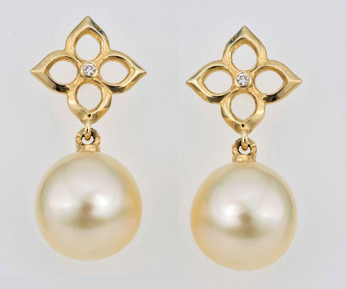 11x12mm Lustrous Golden South Sea Pearls - 14 kt. Yellow gold - Earrings - 0.02 ct (1 of 7)