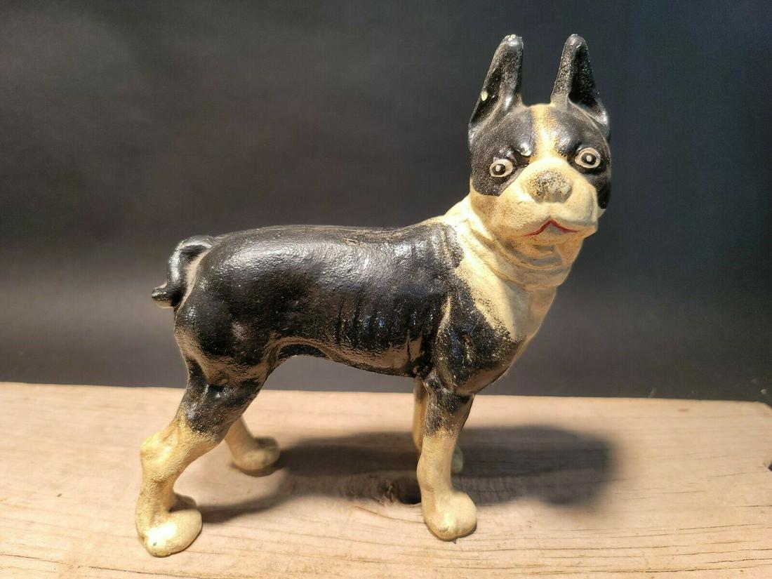 8" Cast Iron Boston Terrier Dog Door Stop Statue: 7" Long x 8" Tall Great little reproduction cast iron boston terrier dog. All cast iron hand painted, slightly distressed as shown in the images. Certainly looks old! See our other miniature cast iron