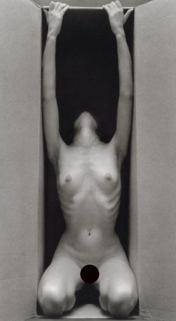 RUTH BERNHARD - The Box (Vertical), 1962: Artist: Ruth Bernhard Title: The Box (Vertical), 1962 Medium: Photo Litho, 1986, USA Dimensions: 5.05x9.15" Description: Heat Wax Mounted on 8.5x11" Conservation Board Artist Bio: Ruth Bernhard was a 