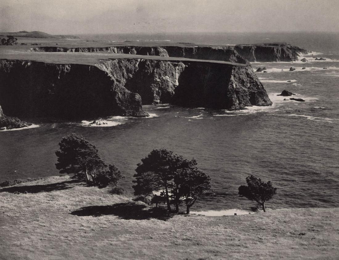 EDWARD WESTON - North Coast, Mendocino County (1 of 1)