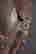 item-136165710=5