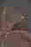item-136165710=8
