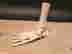 item-136214211=12