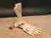 item-136214211=4