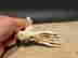 item-136214211=5