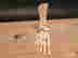 item-136214211=8