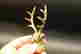 item-136214308=5