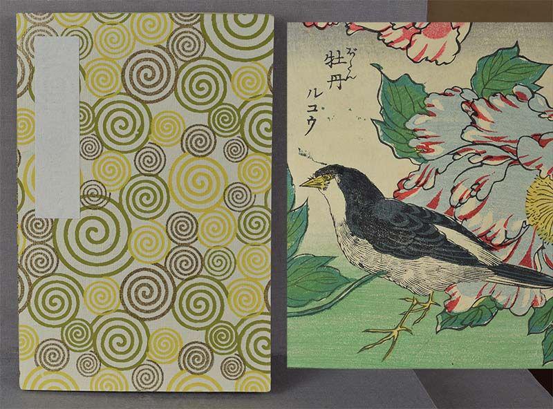 1910s Japanese book of 14 different BIRD PRINTS (1 of 6)