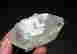 item-136303519=3