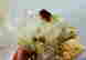 item-136305035=5