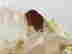 item-136305035=7