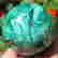 item-136305882=5