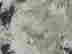 item-136326516=12