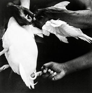 Mario Cravo Neto: Sacrifice V, 1989: Artist: Mario Cravo NetoTitle: Sacrifice V, 1989Date Printed: Printed in Italy in 2001 for a photography festival. Photographer name printed on the lower white mountingMedium: Photolithograph, high