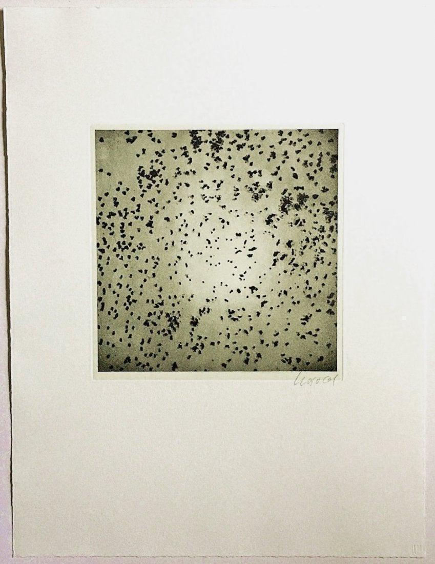 Georg Herold Caviar 1991: Artist: Georg Herold Title: Caviar 1991 Medium: Aquatint w/chine colle Dimensions: 17 3/4" x 13 3/8" Description: signed in pencil Reserve: $300.00 Shipping: Domestic: Flat-rate of $15.00 to anywhere