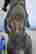 item-136414556=6