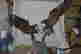 item-136414675=4