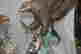 item-136414675=6