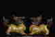 item-136621798=5