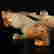 item-136622131=2