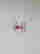 item-136630462=5