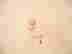 item-136630473=9