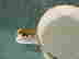 item-136630523=2