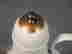 item-136630623=6
