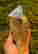 item-136708743=2