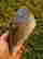 item-136708743=3