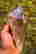 item-136708743=4