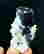 item-136709060=5