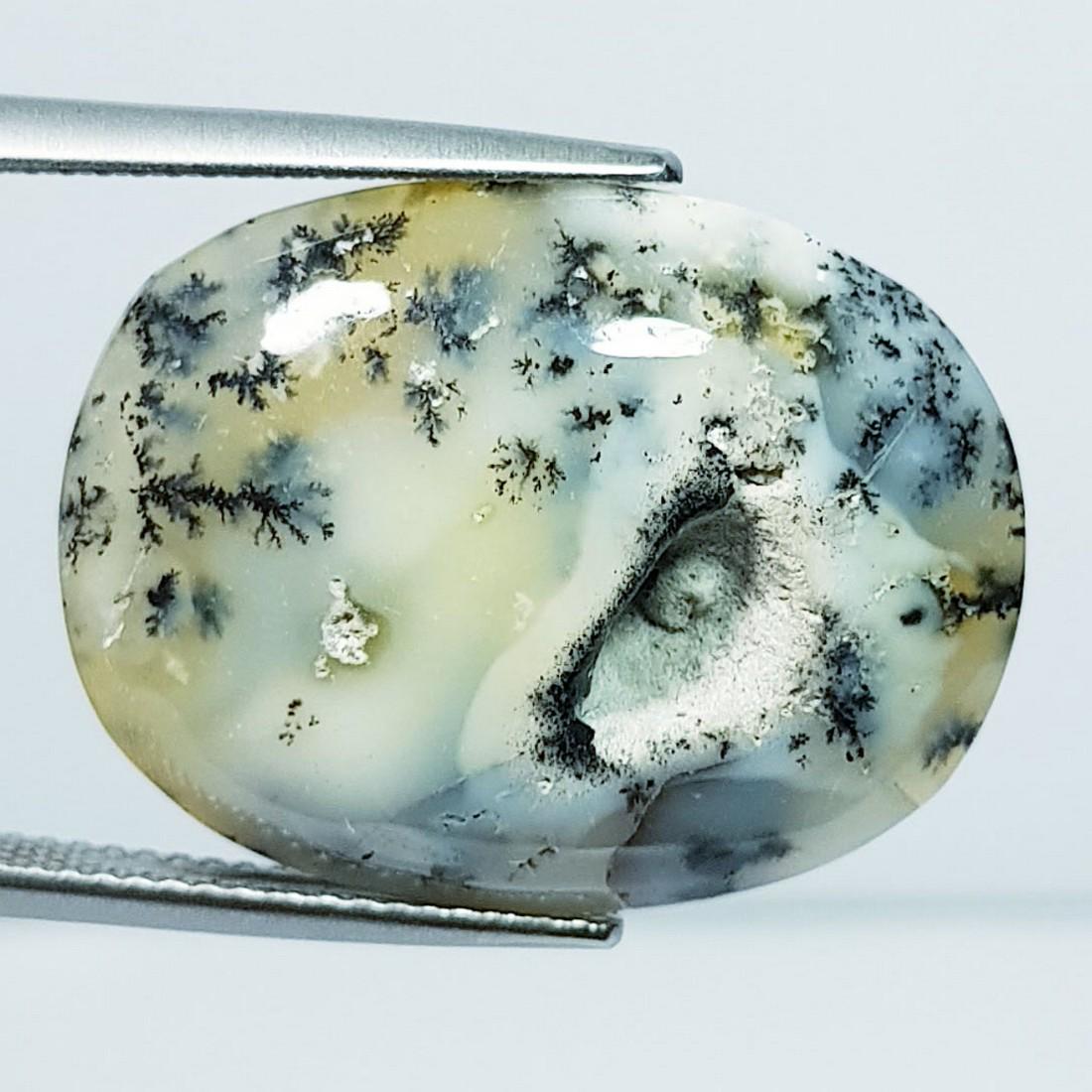 17.91 ctz Natural Dendritic opal (1 of 3)