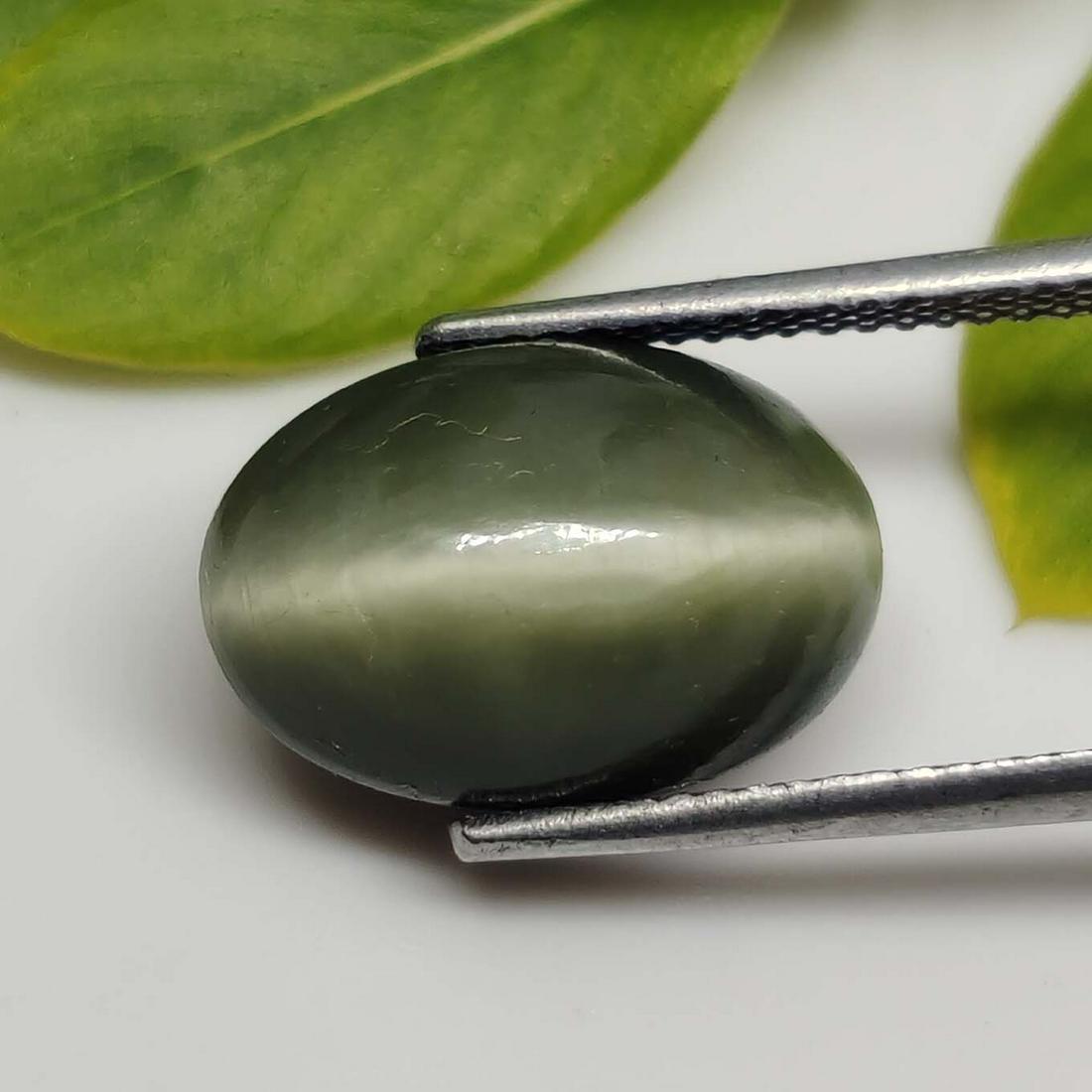 9.60 ct Natural Cat's Eye: No Reserve! Title: 9.60 ct Natural Cat's Eye Additional Information: Gemstones: Natural Cat's Eye Carat Weights: 9.60 ct Size/Dimensions: 14 X 9.5 X 9 mm Treatment: Colorless Oil Materials & Technique