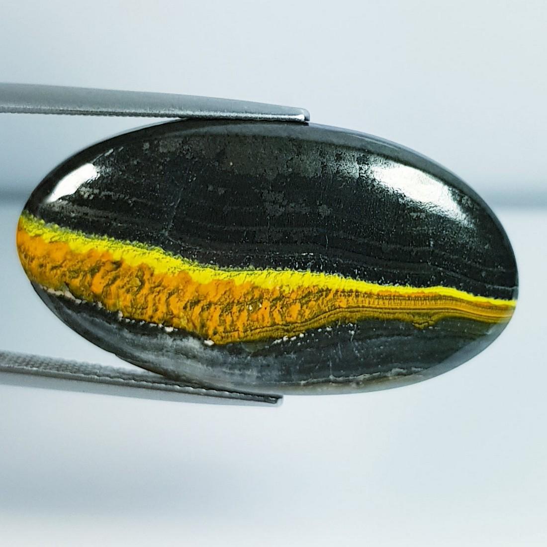 27.40 ctz Natural Bumble BEE Jasper: No Reserve! Title: 27.40 ctz Natural Bumble BEE Jasper Color/Clarity: Yellow / Opaque Gemstones: Jasper Carat Weights: 27.4 Size/Dimensions: 34.80 x 19.20 x 4.70 Additional Info: Oval / Indonesia Ship