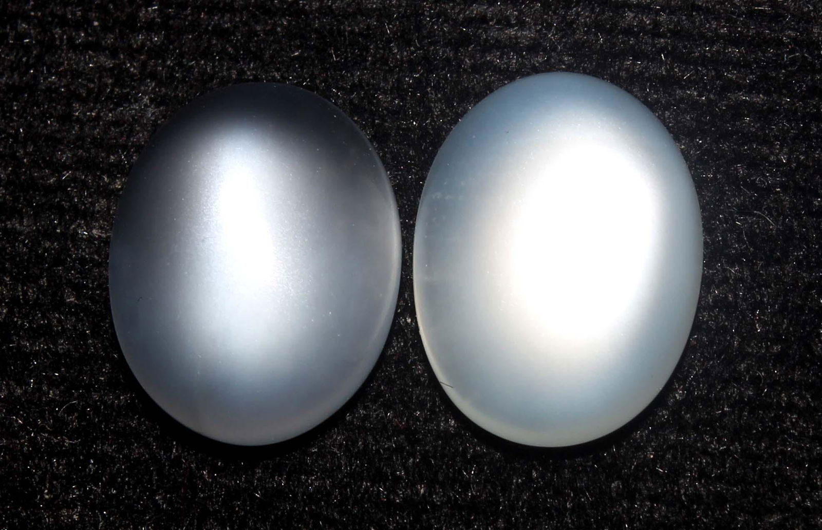 6.59 Cts Natural Moonstone Lot: No Reserve! Title: 6.59 Cts Natural Moonstone Lot Description: Gemstone : Natural Moonstone Shape : Oval Cabochon Weight : 6.59 carats Measurements : 11.84x8.95x4.00 mm , 11.52x9.06x4.34 mm Color : Wh