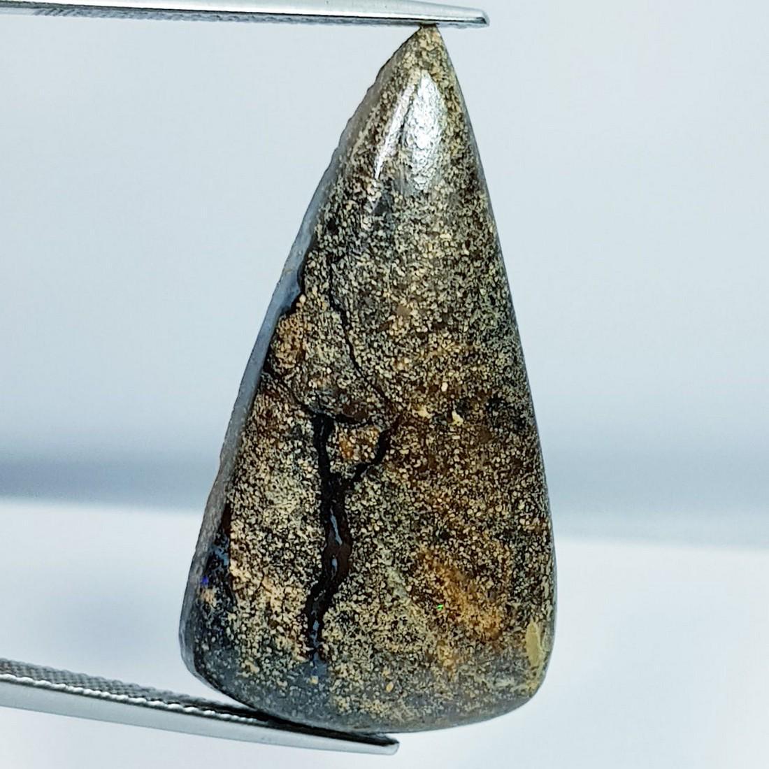27.93 ctz Natural Australian Boulder Opal: No Reserve! Title: 27.93 ctz Natural Australian Boulder Opal Color/Clarity: Wooden Play Of Colors / Opaque Gemstones: Opal Carat Weights: 27.93 Size/Dimensions: 34.80 x 18.55 x 7.00 Additional Info: P