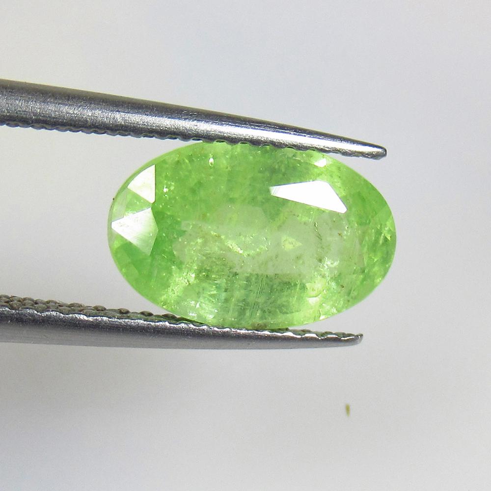 2.52 Ctw Natural Tsavorite Kyanite Oval Cut: No Reserve! Title: 2.52 Ctw Natural Tsavorite Kyanite Oval Cut Stone Clarity: VVS Gemstone: Natural Kyanite Carat Weight: 2.52 Size/Dimensions: 10.70 x 6.90 x 4.20 mm Additional Information: Very Good