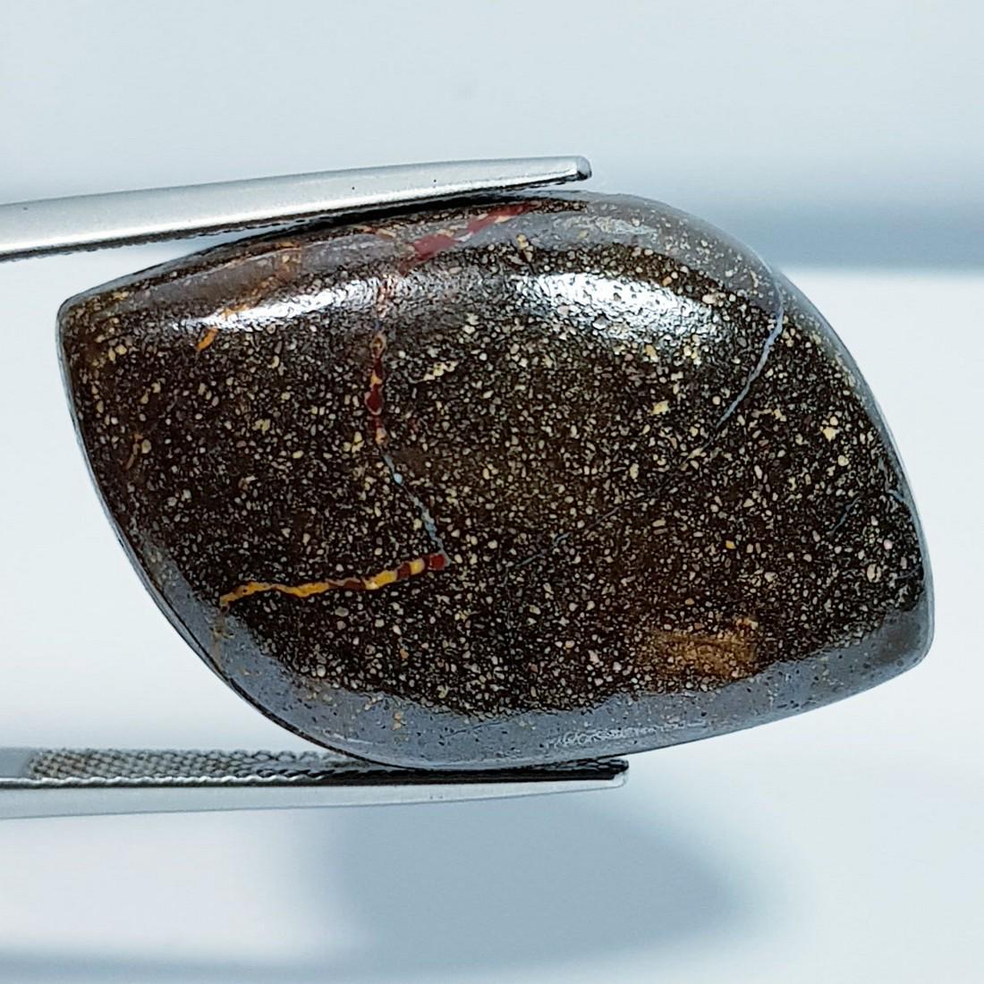 38.97 ctz Natural Australian Boulder Opal: No Reserve! Title: 38.97 ctz Natural Australian Boulder Opal Color/Clarity: Wooden Play Of Colors / Opaque Gemstones: Opal Carat Weights: 38.97 Size/Dimensions: 33.10 x 20.35 x 7.00 Additional Info: F