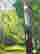 item-136772219=3
