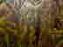 item-136773176=12