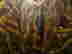 item-136773176=7