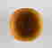 item-136775762=5