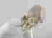 item-136776227=7
