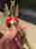 item-136776863=12