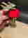 item-136776863=9