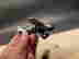 item-136776967=8