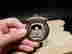 item-136777026=12