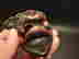 item-136777083=6