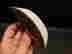item-136777130=8
